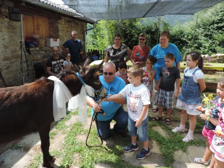 Imagen de Celebración de la fiesta de bautizo y primer cumpleaños de Lola, nuestra burrita