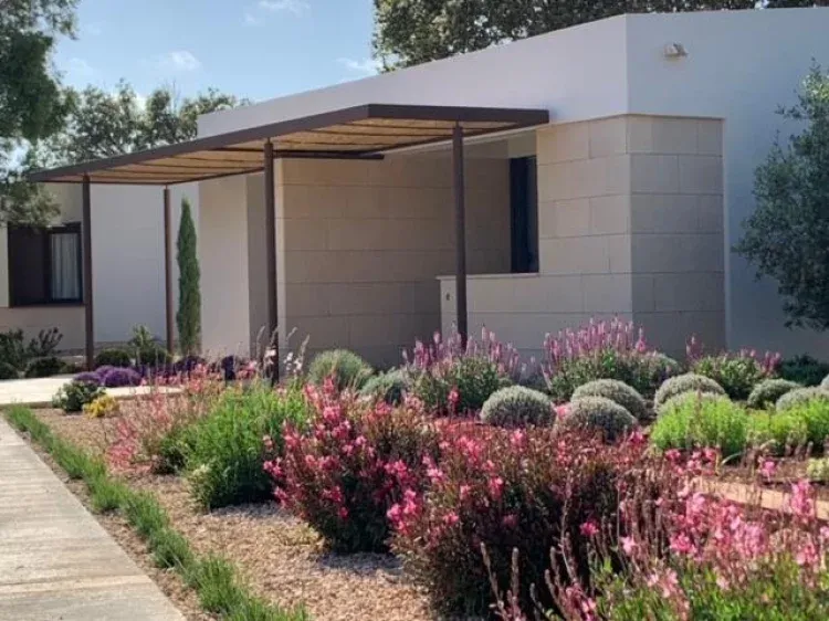 Imagen de Habitaciones Olivos con terraza