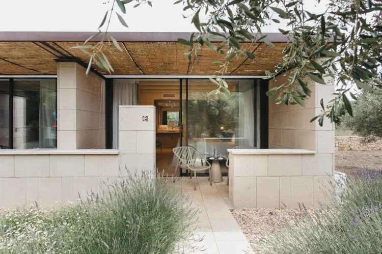 Imagen de Habitación Olivos