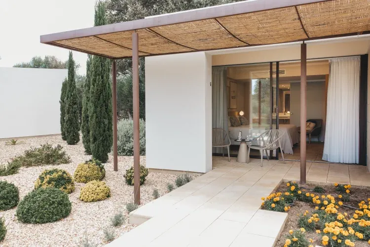 Imagen de Habitación Olivos