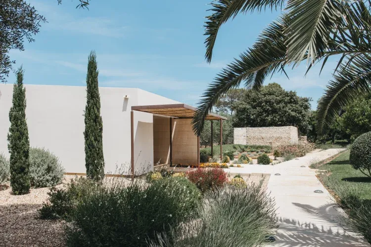 Imagen de Exterior habitaciones Olivos