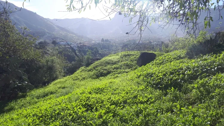 Imagen de vistas desde fachada