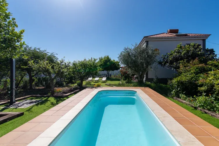 Imagen de Piscina y jardín