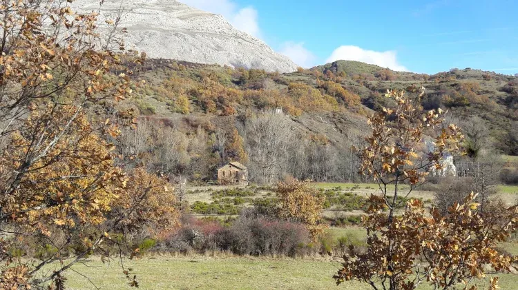 Imagen de La casa al fondo de la imagen