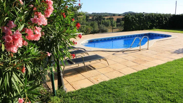 Imagen de Piscina y jardín