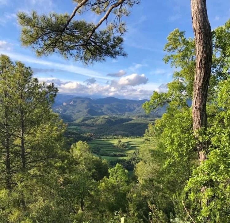 Imagen de Paisajes que rodean la Casa dels Peixos