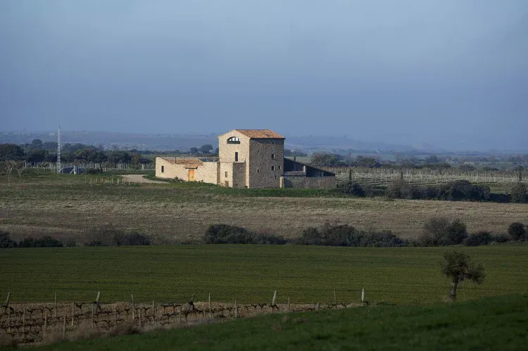Imagen de Paisatge de la Torre del Codina