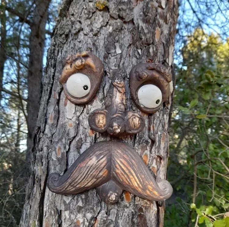 Imagen de Dice la leyenda que el que entra en un Bosque Encantado siempre sale un poquito más feliz de lo que entra... Quieres conocer el nuestro?