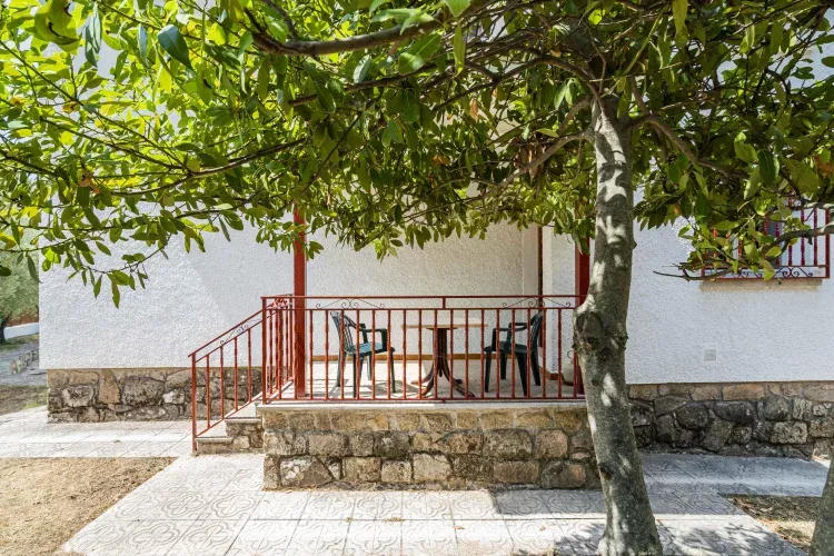 Imagen de Terraza parte trasera 