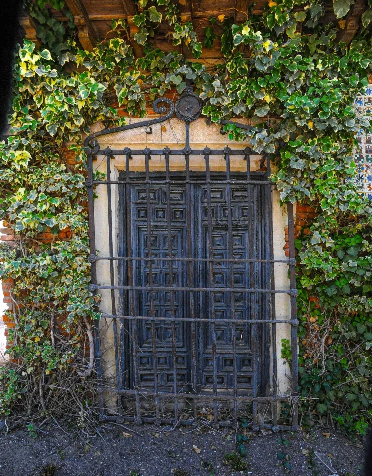 Imagen de Jardin
