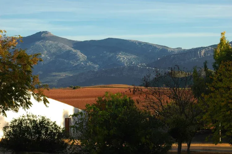 Imagen de Vistas desde el Cortijo