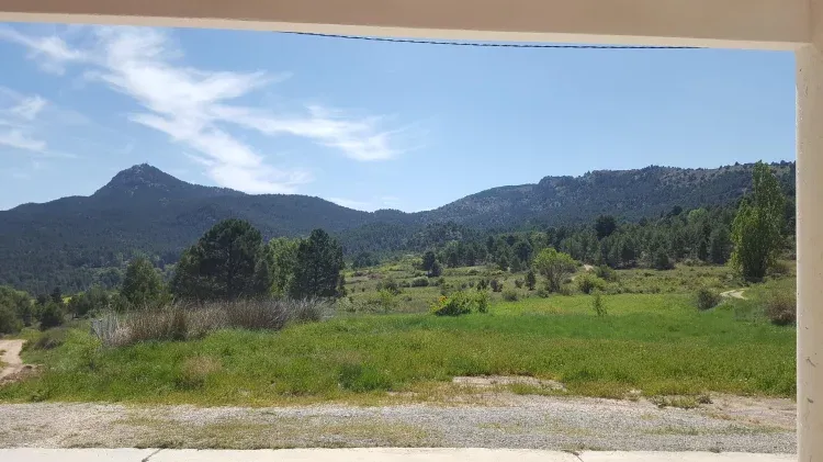 Imagen de Vista desde el porche