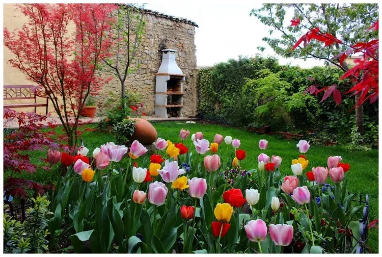 Imagen de Jardín en primavera/Lorategia udaberrian