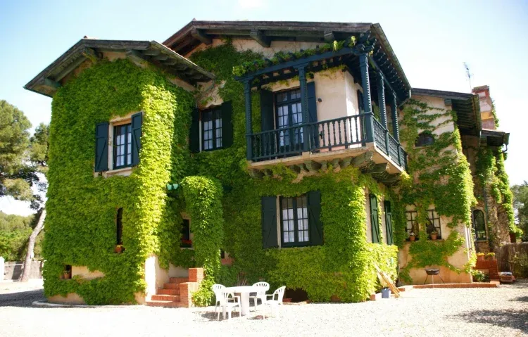 Imagen de Fachada oeste