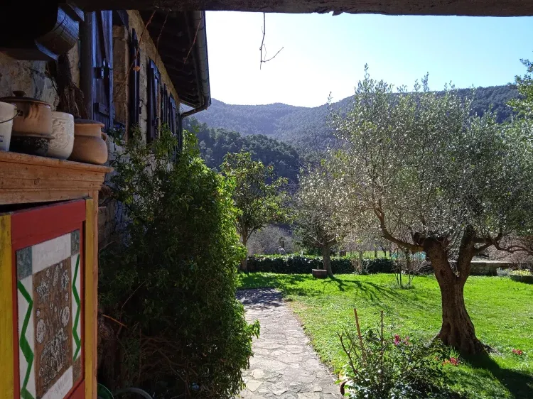 Imagen de Acceso al jardín