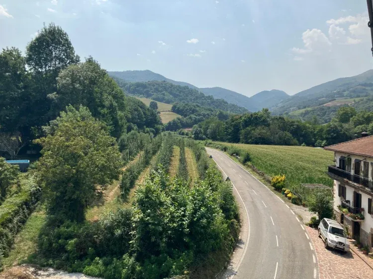Imagen de Una vista desde Graciosenea