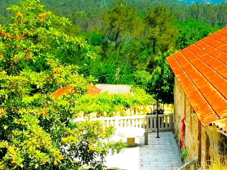 Imagen de Foto exterior La Casa del Bosque del Agua