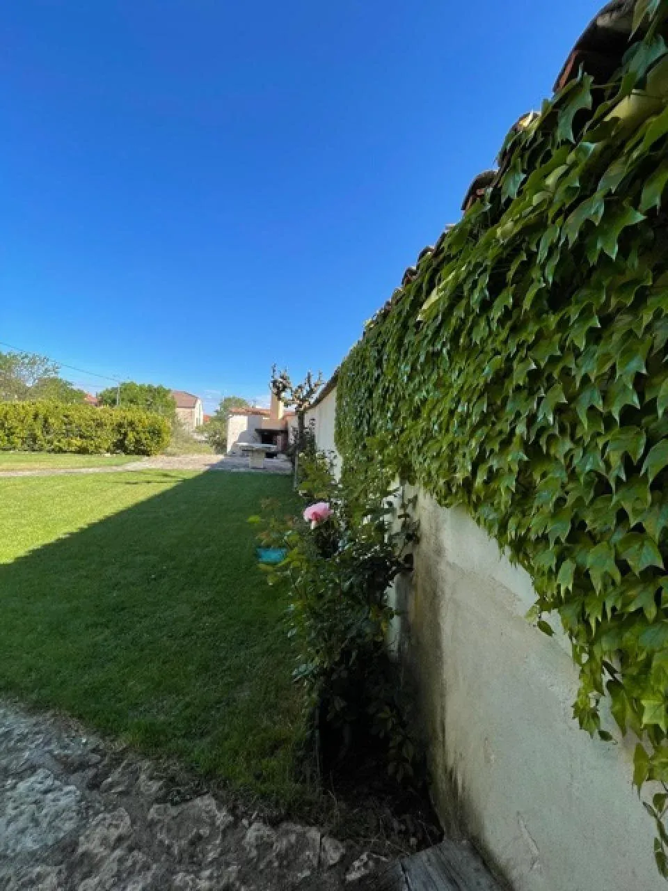 Imagen de jardín - barbacoa