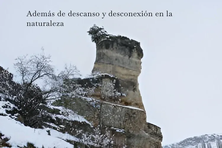 Imagen de vistas