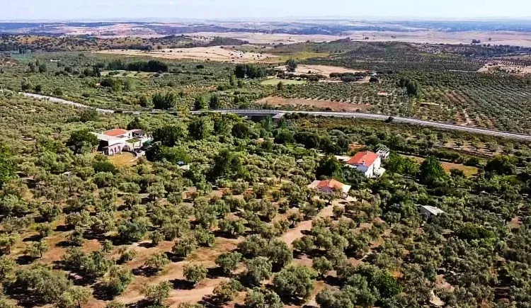 Imagen de Vista general del Complejo y las tres casas rurales
