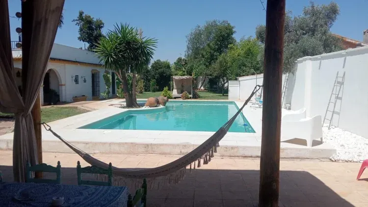 Imagen de Piscina con Chiringuiitgo