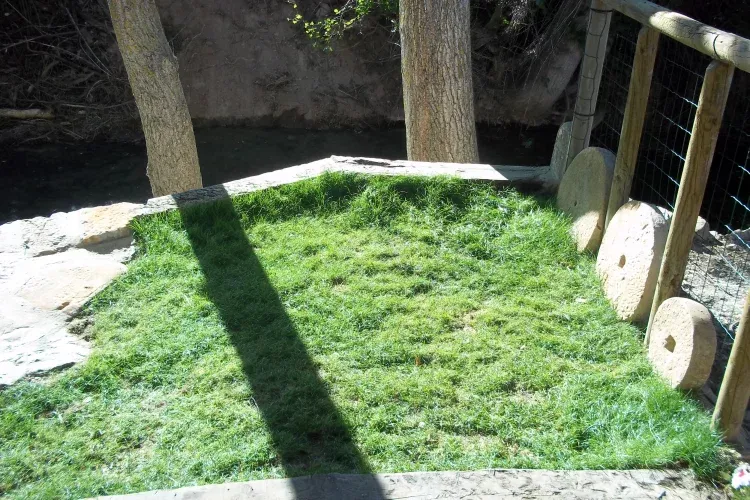 Imagen de Jardin a la orilla del rio