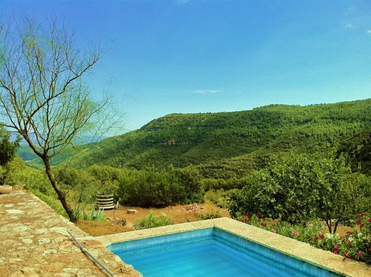Imagen de Pisicna - Vistas