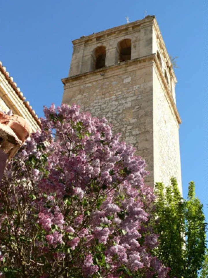 Imagen de La torre de la Iglesia, silenciosa observa nuestro jardín.