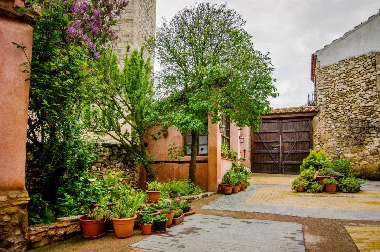 Imagen de Disfrutas de un gran jardín para compartir con los tuyos