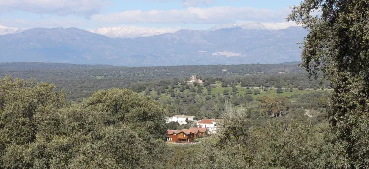 Imagen de Finca y Gredos al fondo