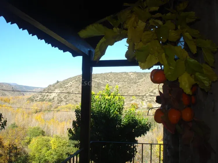 Imagen de El otoño en la Casa Gran