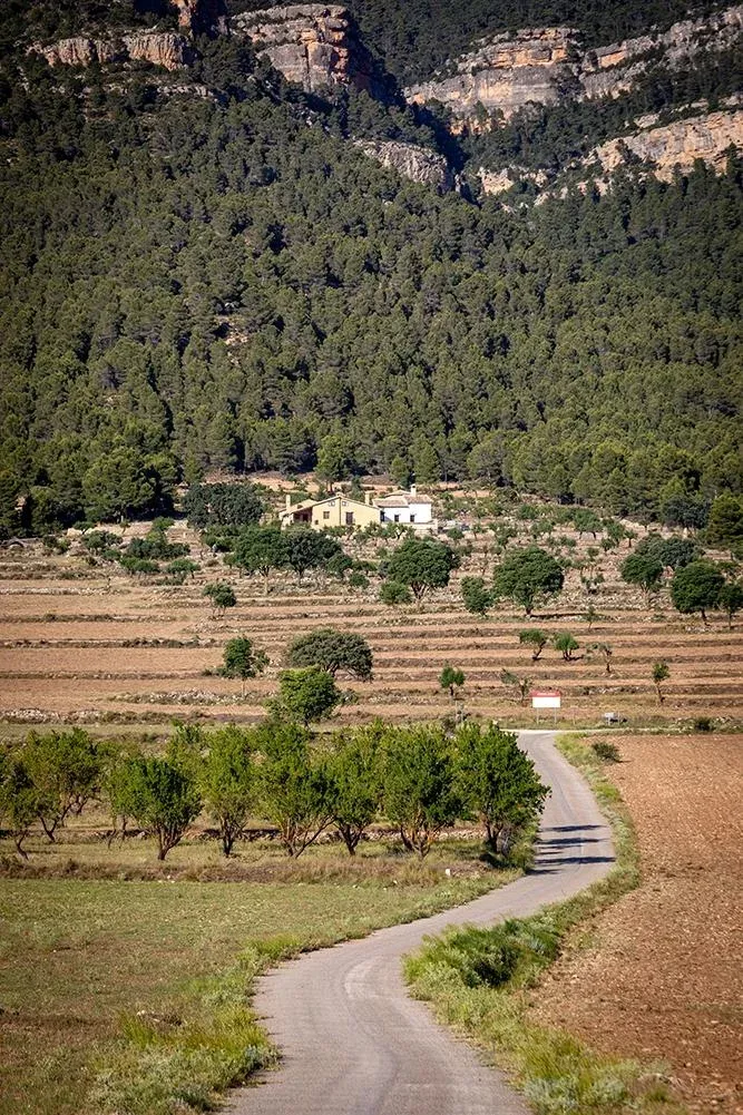 Imagen de Entrando en la Cañada