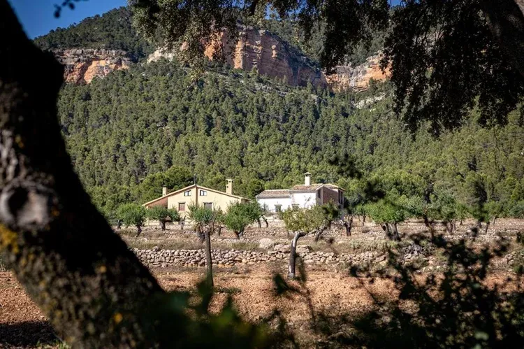 Imagen de Desde la Encina