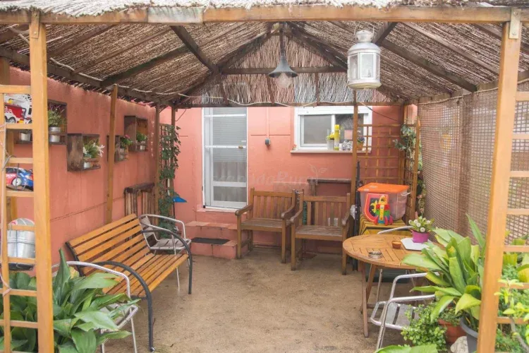 Imagen de patio jardín 